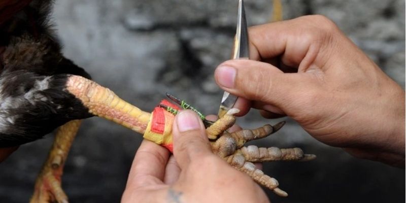 3 lợi ích khi áp dụng chuẩn kỹ thuật lên cựa