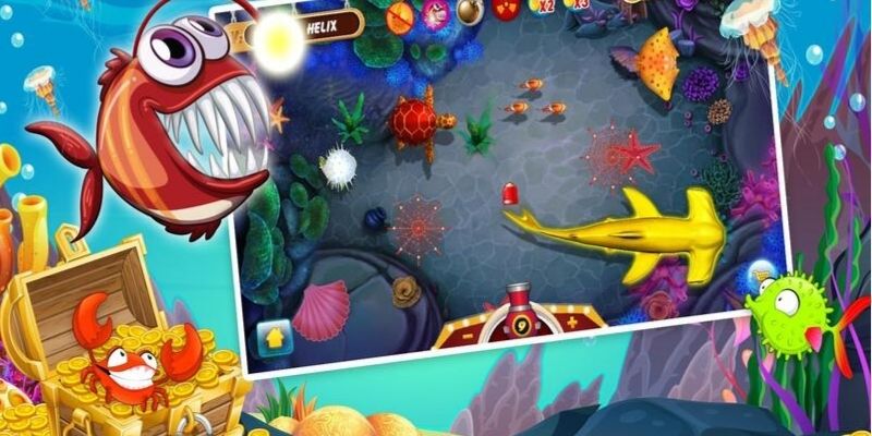 Luật săn cá Bingo đơn giản tại 8KBET